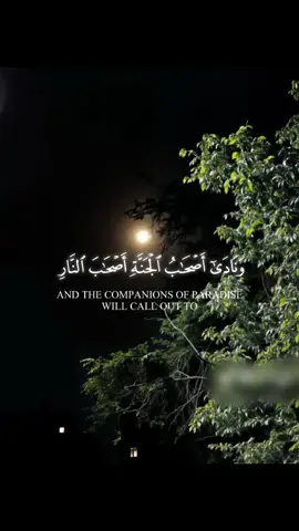 #explore #اكسبلورexplore