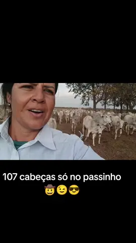 Confiança se conquista diariamente #foryoupage #manejo #neloremocho #madeinroça #pecuariabrasil🇧🇷🐂🐂🐂🐂 