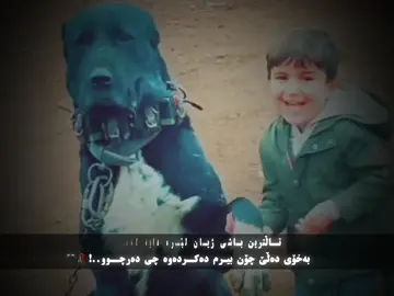 ##کوا_ئەکتیڤەکەی_جارانم #cheqa_sya #خۆشەویستن_هەمووتان💫💙 #acc #لىكوفولومان_بكه_ن_سوباستان_ده_كه_م 