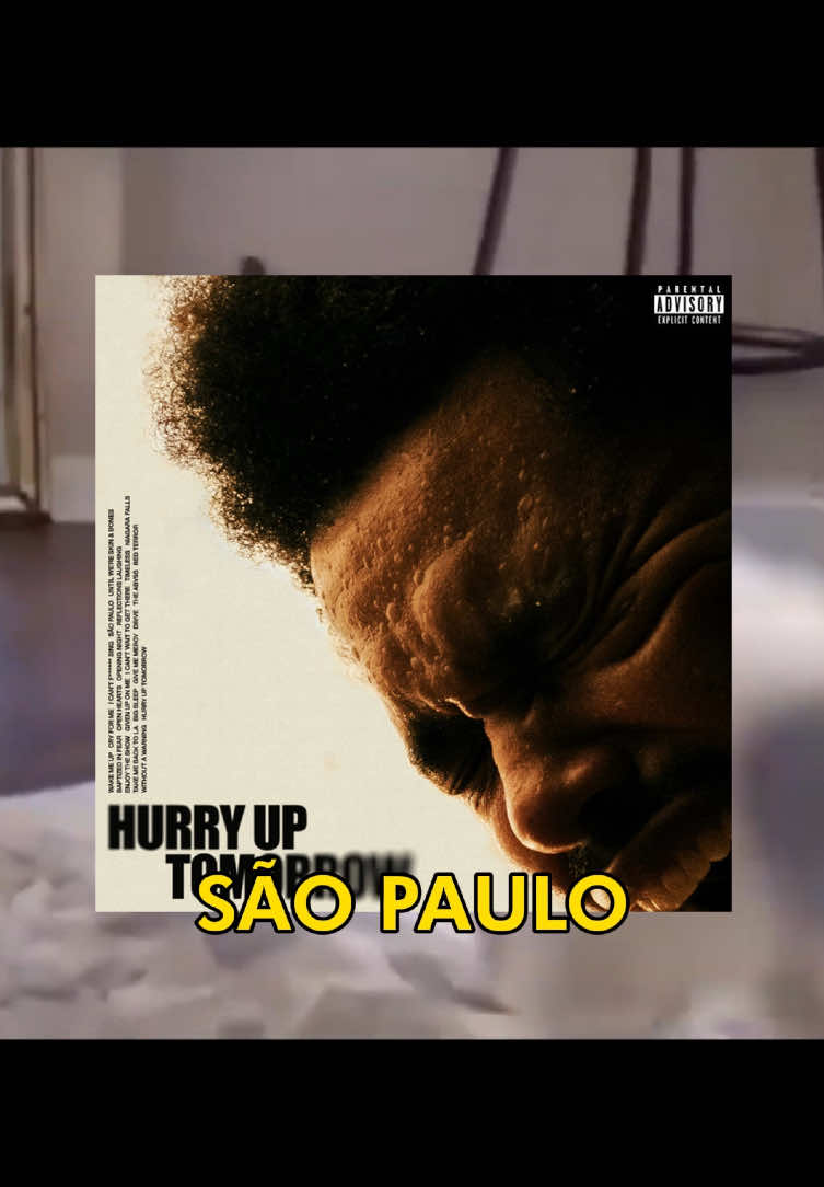 🗣️🗣️ SÃO PAULO 🔥🔥 #catcore #cat #theweekend #catsoftiktok #songoftheday 
