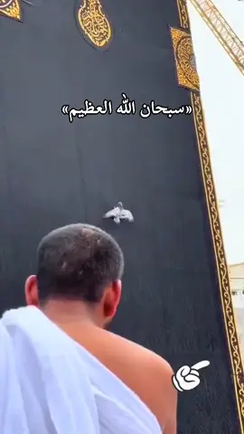 #«الحمدُلله على نِعمة المأوى، و على نِعمة معرفة الوجهة، وعلى نِعمة الاهل والأصحاب، ونِعمة الصحة والعافية، الحمدُلله يا ربّنا على كُل نعمة ألفناها ونسينا أن نشكرك عليها» 🕊