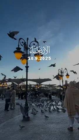 اللهم لا تعذبنا بمرض 🕊️ دعاء يوم الأربعاء 2025/9/10🕊️#دعاء_يوم_الاربعاء #القران_الكريم_اكسبلوور 