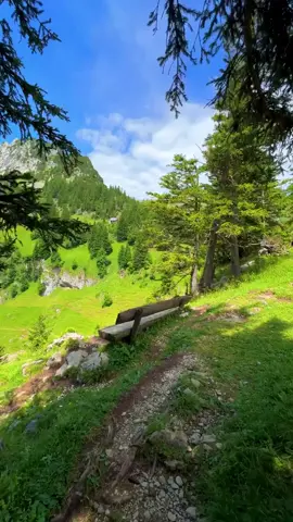 #سويسرا🇨🇭 اللهم حققك حلم كل واحد وكل وحدة يالله امين يارب العالمين 🫡 اي والله ياشباب 