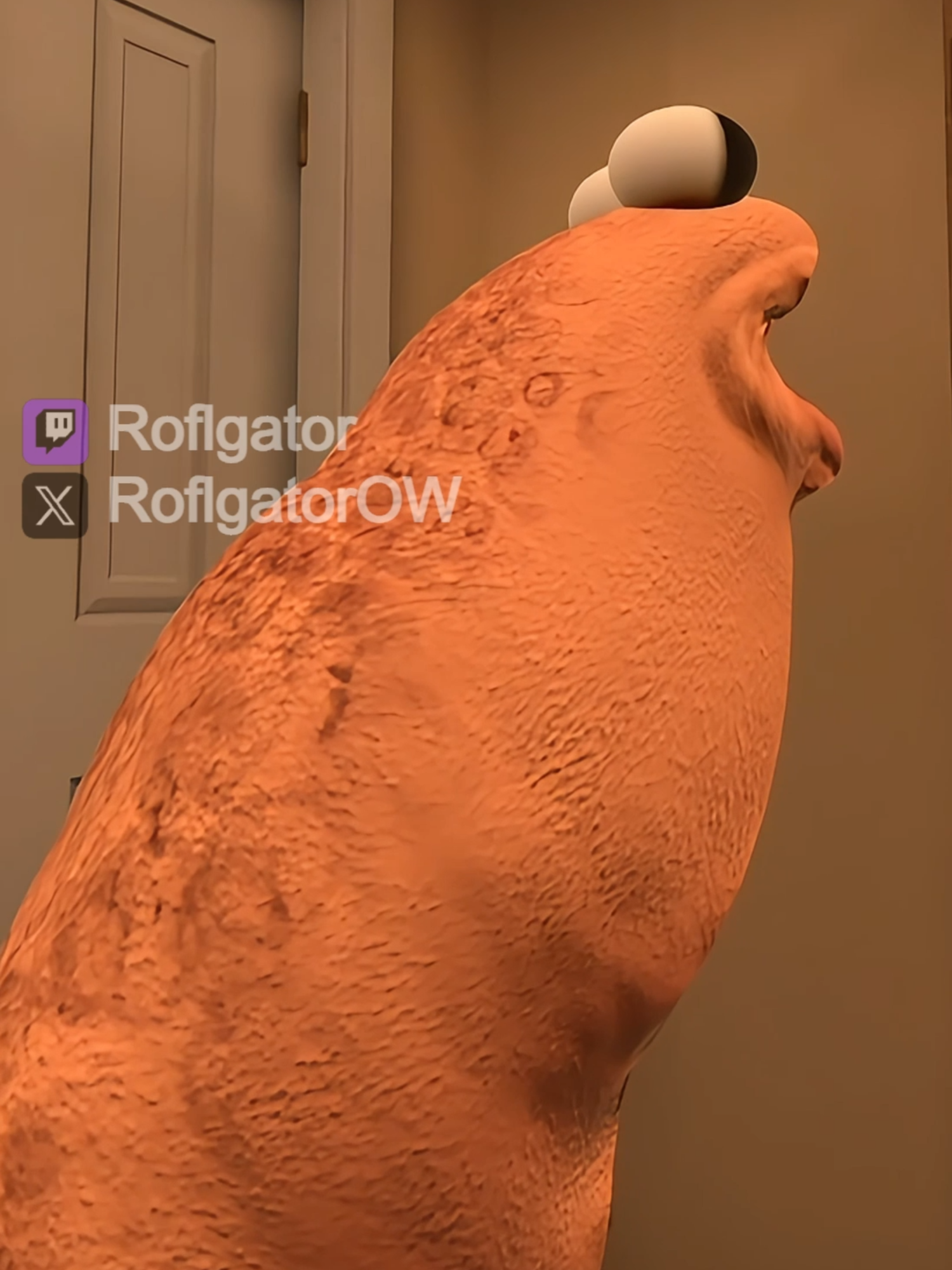 Marcus is mildly irritated #roflgator #vrchat #vrchatmemes #funny #marcus
