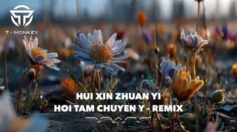 Hồi Tâm Chuyển Ý | Hui Xin Zhuan Yi - Remix #monkeymusic #nhachaymoingay #nhacremix #remix #thinhhanh 