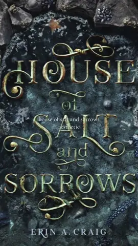 one of my favorite fantasy novels, I’ve been seeing more people talk about it recently so I know it’s time for a re read #houseofsaltandsorrows #BookTok #fantasy #thriller #12dancingprincesses 