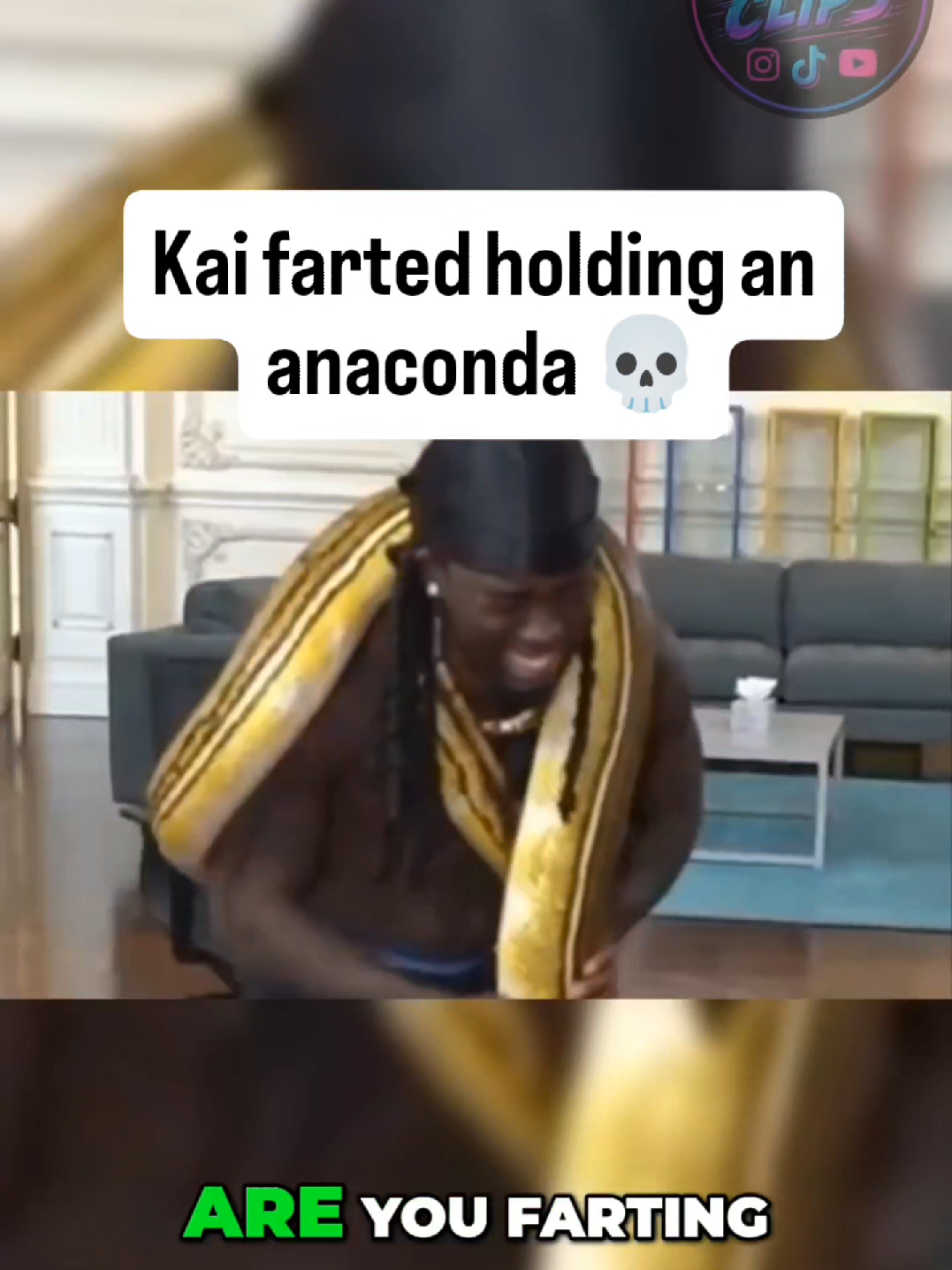 Kai farted while holding an anaconda 😭. Only Kai can turn streams into this kind of comedy #fyp #viral #kai #funny #stream 