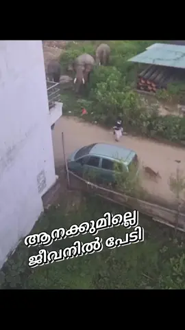 ജഗതി പറഞ്ഞത് ഇപ്പോഴാണ് കറക്റ്റ് ആയതു 😂😂😂😂😂