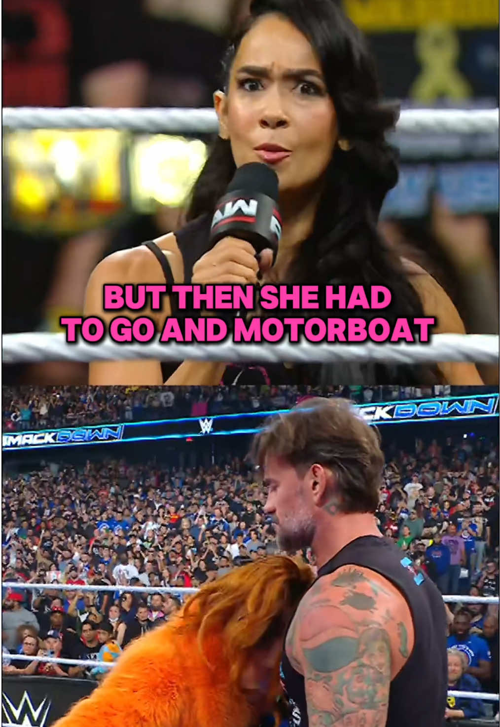 no fr what was that about? 💀 #WWE #AJLee #BeckyLynch #CMPunk