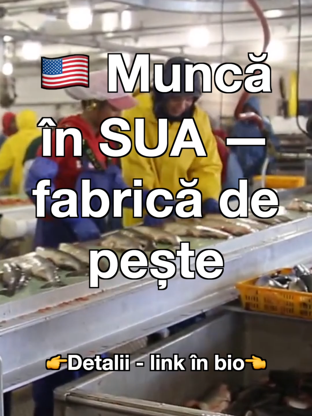🇺🇸 Muncă în SUA — fabrică de pește 💶 Salariu: $5.000–6.800/lună 🏠 Cazare și transport gratuit 📑 Contract legal + viză de muncă ✅ 100% legal și sigur 👉 Detalii — link în bio #munca #muncaSUA #LocuriDeMunca #cautdelucru #AmericaJobs #workinUSA #muncainstrainatate #JoburiExterne