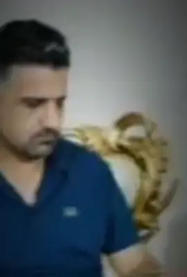 #CapCut 