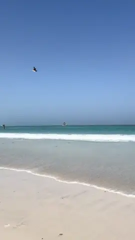 #اكسبلور #تصويري 