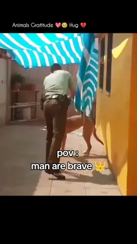 Man are brave 👑#man #fyp #dog  #foryou #viral 