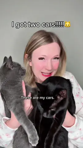 Help me name my cars comment what I should name them..! #foryou #cats #viral #funny #cute 