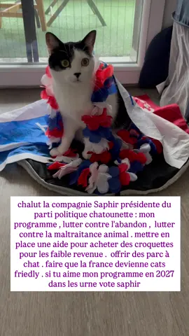 chalut la compagnie Saphir présidente du parti politique chatounette : mon programme , lutter contre l'abandon ,  lutter contre la maltraitance animal . mettre en place une aide pour acheter des croquettes pour les faible revenue .  offrir des parc à chat . faire que la france devienne cats friedly . si tu aime mon programme en 2027 dans les urne vote saphir #chat #chatpanda #chatinstagram #petinfluencer #chatinfluence  @gouvernementfr 