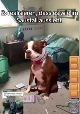 #aufräumen #chaos #faul #layzyday #hunde 