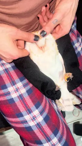 Just a by enjoying her massages ❤️‍🩹🦉✨  #memories #Love #missyou 