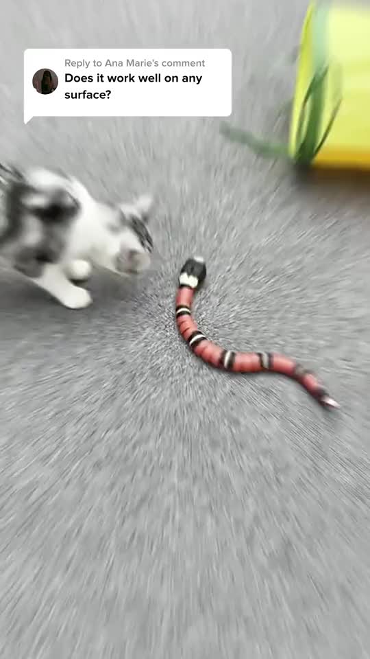 Smart Sensing Interactive Cat Toys Automatic Electronic Snake Cat Teaser Play USB Rechargeable Kitten Toys for Cats Dogs Pet with Realistic Plastic Body Texture and Segmented Body for Excellent Slithering Action #petproducts #sensorytoy #sensorytoys #interactivedogtoy #smartlitterbox #sensorytoysforkids #interactivecattoy #smartcattoys #catpuzzlefeeder #dogtoyreview