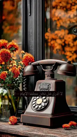 صار الأهم أن نشعر بالراحه ولوقليلا ❤️‍🩹🌹ا
