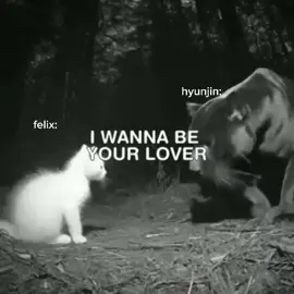 friendship 🖤 #hyunlixmoment #felix #hyunjin #foryou #hyunlix #straykids 