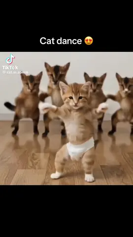 Cat dance … #cat #funny #dance #fyp #funnyvideos 