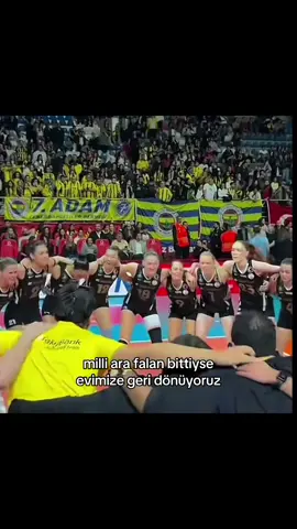 açın evimize geldik selam bu arada😝 #vakıfbank #fyp #keşfet #zehragüneş 