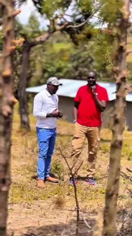 #naroktiktokers👐 #samburutiktokers #kajiadotiktokers #viral .