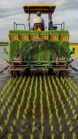 Nanam Padi Sekarang Jauh Lebih Rapi & Cepat! 🌾🚜 Mesin canggih ini bikin barisan bibit tertata sempurna di lahan lumpur yang berair. Keren banget! #PetaniModern #PertanianMaju #TanamPadiMesin #SawahIndonesia #FYP