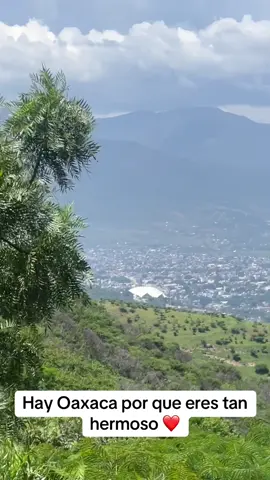 #paratiiiiiiiiiiiiiiiiiiiiiiiiiiiiii #viraltiktok #lamixtecaoaxaqueña ##oaxacadejuarez❤️🥰 #oaxacademisamores❤️🌺🌸 