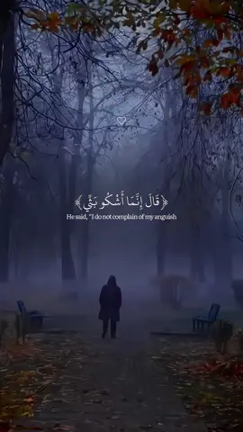 Surah Yusuf | Beautiful Recitation  ‏#allah #zeealquran #القران_الكريم #quran_alkarim   #عبدالرحمن_مسعد ‏ 