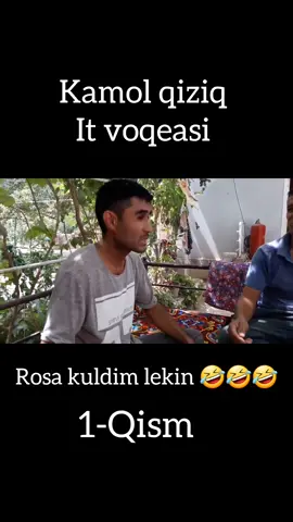 Kamol qiziq It voqeasi 1-Qism #kulgu #trend #rek 