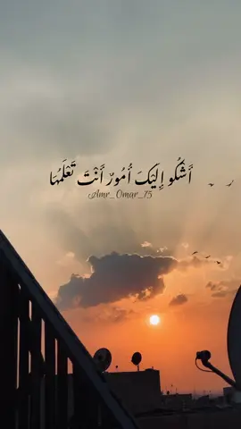 رتبهالي يارب عشان تعبت من التوهه والتفكير❤️‍🩹