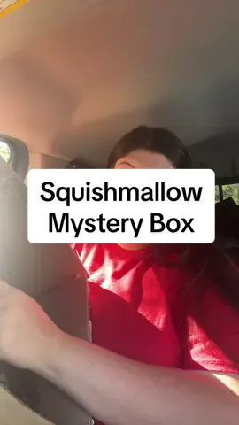 #squishmallow #squishmallowmysterybox #TikTokShopCreatorPicks #giftideas 