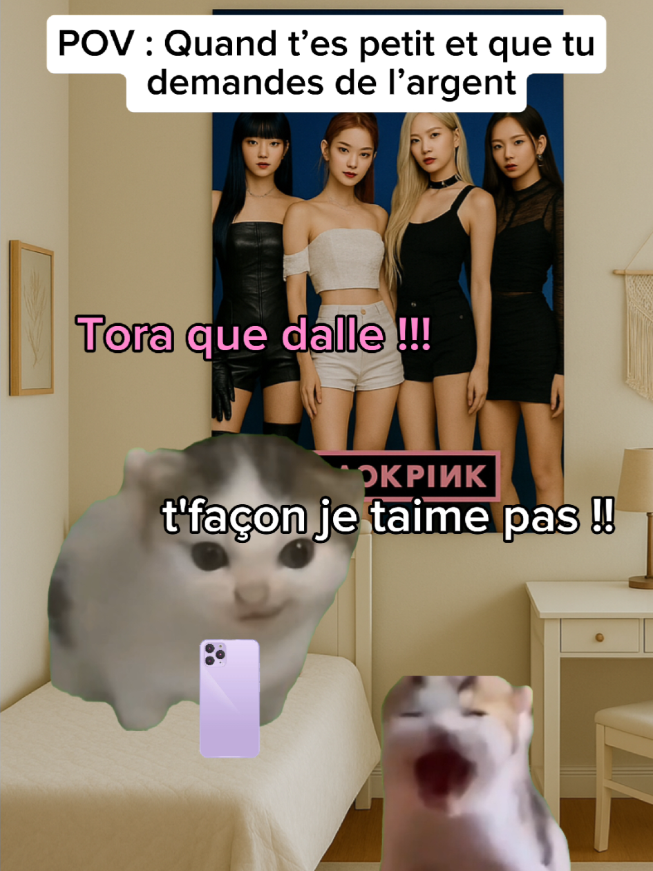POV: Quand t’es petit et que tu demandes de l’argent #humour #drole #sketch #catmeme #pov 
