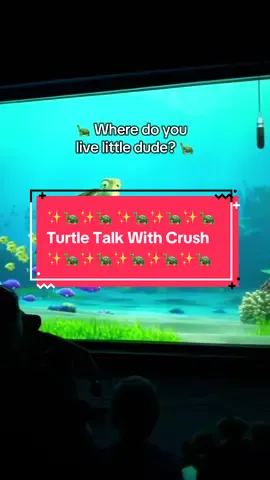 Turtle Talk With Crush  #turtletalkwithcrush #turtletalk #disneyparks #findingnemo #disneytiktok 