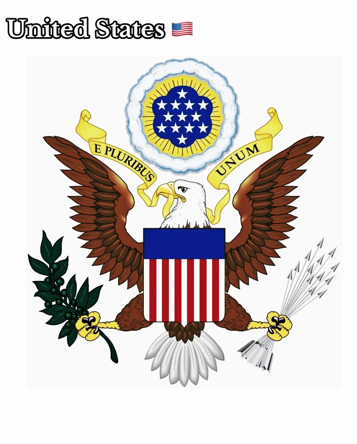 #militarylife #coatofarms #coat #fyp #xyzbca