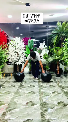 #ethiopian_tik_tok🇪🇹🇪🇹🇪🇹🇪🇹 #ethiopian_tik_tok🇪🇹🇪🇹🇪🇹🇪🇹 #artificialplants🌱🌿 #habeshantiktok #fyp #wallplant #ethioartificialpant #ethioartificialplants #habeshantiktok #ethioartificialplants #plantsoftiktok #interiordesign #fakecherrytree #fyp #olivefaketree 
