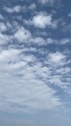 باوع للفوك وجوه🐦‍⬛