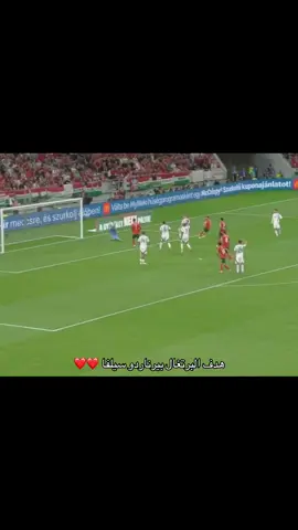 #portugal #cristianoronaldo 