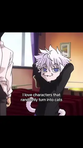 i love them!! lmk if i missed someone😭 #animetiktok #fyppppppppppppppppppppppp #apothecarydiariesanime #hunterxhunter #cats 