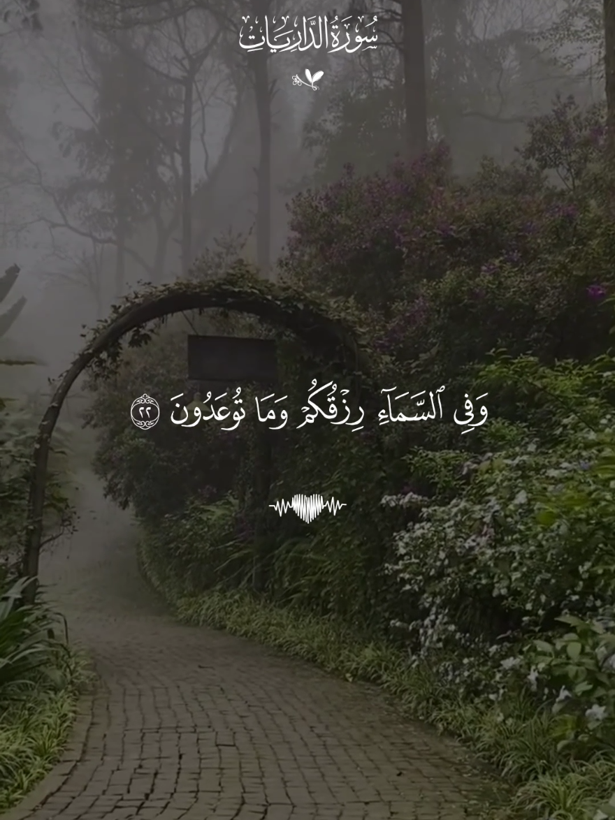في السماء رزقكم وماتوعدون🤎 #قران #فارس_عباد #قران_كريم #تصميم_karimmohmed30 