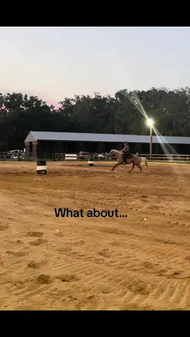 Miss running my old man hope to see my baby riding him in a year or two