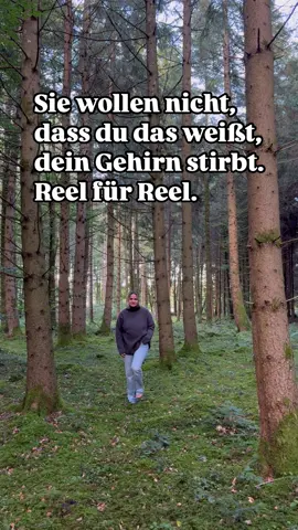🚨 Sie hacken dein Gehirn – und du merkst es nicht. 🚨 Jedes Mal, wenn du scrollst, schüttet dein Gehirn Dopamin aus – das Belohnungshormon, das dich für einen winzigen Moment glücklich macht. ⚡ Kick → Belohnung → Kick → Belohnung. Dein Gehirn denkt: „Wow, mehr davon!“ Und du scrollst weiter. Und weiter. Und weiter. Doch das hier ist kein Zufall. Diese Apps sind perfekt programmiert, um dich abhängig zu machen. Die Farben, die Sounds, die Geschwindigkeit – alles ist darauf ausgelegt, dein Gehirn zu kontrollieren. Nicht du steuerst dein Handy – es steuert dich. Mit jeder Sekunde stumpfst du ab. Das echte Leben wirkt plötzlich langweilig: ein Gespräch mit Freunden, ein Spaziergang, ein Buch lesen. Alles gibt dir nicht mehr den Kick, den dir dein Handy alle 5 Sekunden liefert. Das Ergebnis? 🧠 Konzentrationsprobleme 💥 innere Unruhe 💔 keine echte Freude mehr 😔 emotionale Leere 👶 Kinder mit ADHS-ähnlichen Symptomen Du wirst zu einem Dopamin-Junkie, der immer mehr Reize braucht, um überhaupt etwas zu fühlen. Und während du scrollst, verdienen Milliarden-Konzerne an deinem gebrochenen Nervensystem. Die psychische Wahrheit: Dein Gehirn ist im ständigen Alarmmodus. Es kann nicht unterscheiden, ob du vor einem Löwen fliehen musst – oder einfach nur ein Reel schaust. Du bist dauerüberreizt, immer müde, immer auf der Suche nach dem nächsten Kick. Was du tun kannst, um dein Gehirn zu retten: 🌱 1x pro Woche Digital Detox – ohne Handy, ohne Social Media. 🌱 Apps löschen, die dich triggern. 🌱 Bewusste Zeitlimits setzen. 🌱 Dinge tun, die deine Sinne nähren: Natur, Kreativität, echte Gespräche. Dein Fokus ist deine Macht. Hol ihn dir zurück – für dich, für deine Kinder, für dein Leben. ❤️ Speichere diesen Text, wenn du heute aufhören willst, dich selbst zu betäuben. #DigitalDetox #Handysucht #DopaminDetox #TikTokGefahr #ReelsSucht     