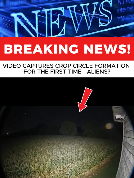 #ufo #fyp #usa #news #breakingnews 