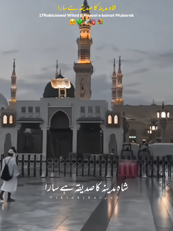 17Rabiulawal Wilad E Muhammad saw🥳💐 Paid Editing Available #17Rabiulawal #shiastatus  #yaali #unfreeznyaccount  #Safar 