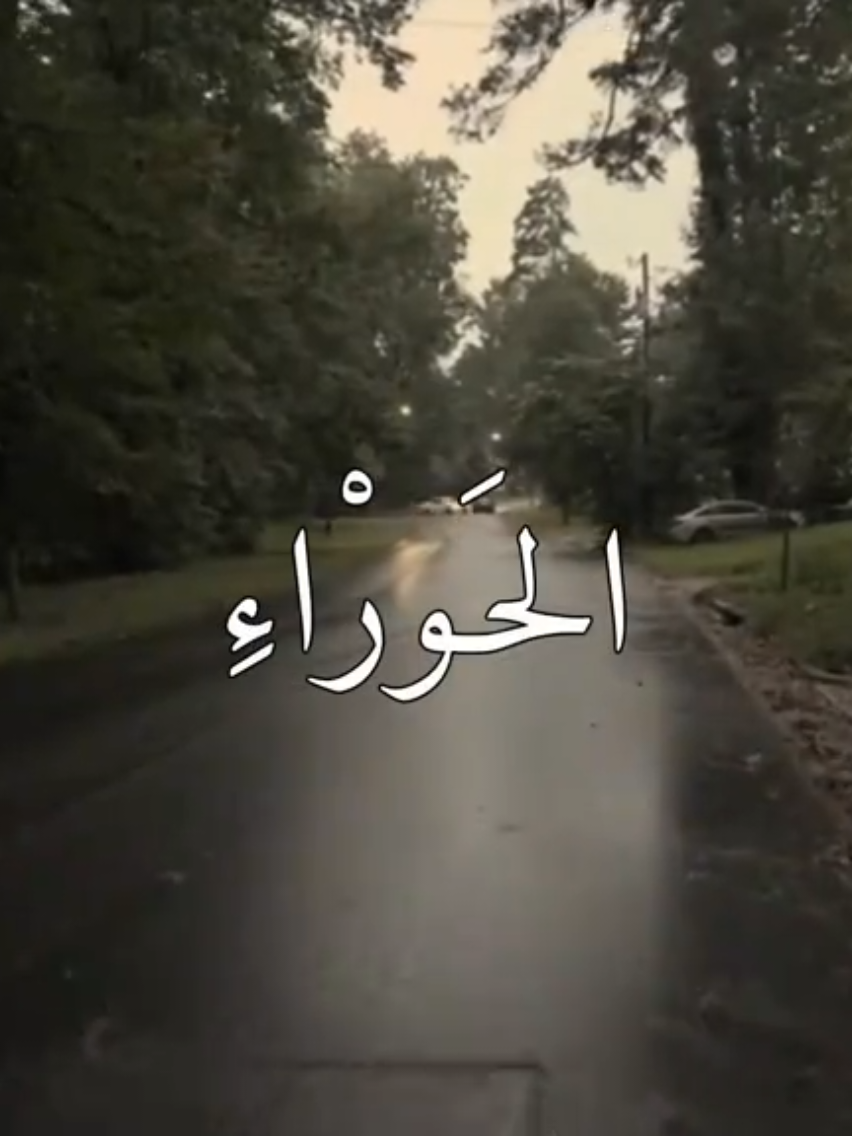 أسَم حَورْاءِ #حوراء #حور  #باسم_الكربلائي ##foryou  #fyp 