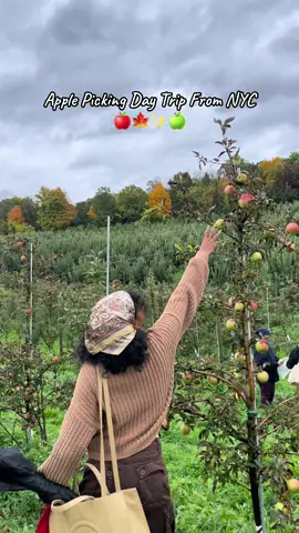 i loveeee fall activities🍎🍏✨ #nyc #applepicking #applepickingny #nycdaytrip #fall 