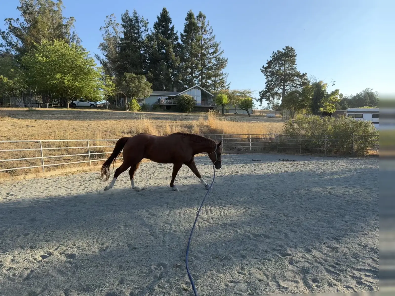 A little bit late, but it’s still early September. 🤣 #fyp #horse #equestrian 