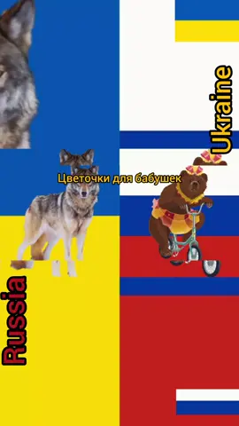 Вот так цветочки #ukraine #russian #warukrainevsrussia #chatruletka #чатрулетка 