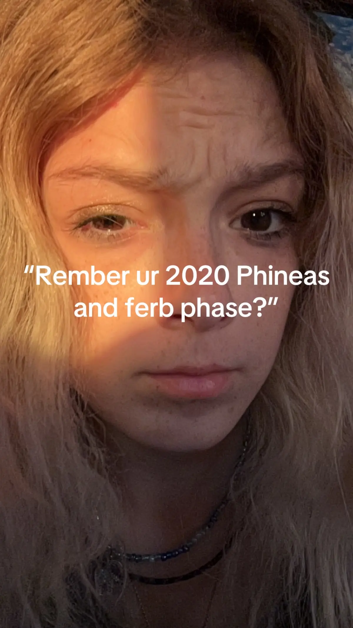 Oh sierra you have got to be kidding #fyp #Art #phinesandferb #viral #help 